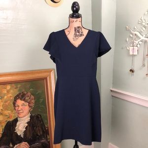 NWT Ann Taylor LOFT Navy Fringe Sleeve Dress 12P